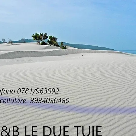 Couette-café Domos Le Due Tuie *