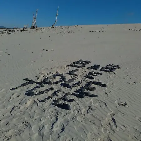 Nocleg ze śniadaniem Domos Le Due Tuie Piscinas