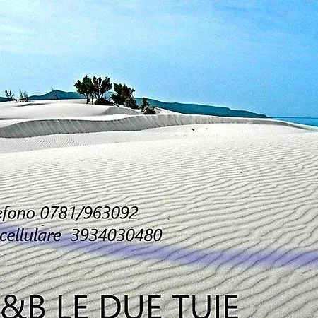 Domos Le Due Tuie