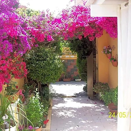 Domos Le Due Tuie Bed & Breakfast