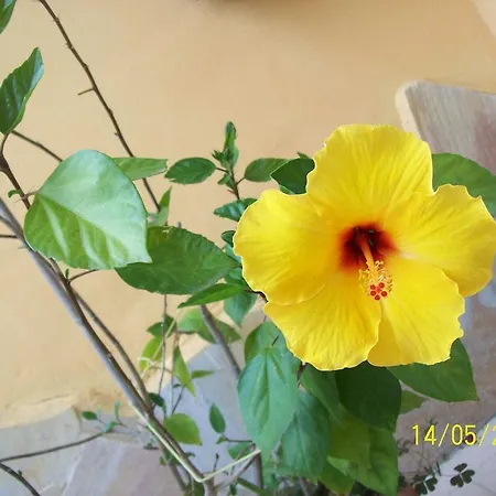 Bed & Breakfast Le Due Tuie 3*